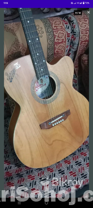 Guitar